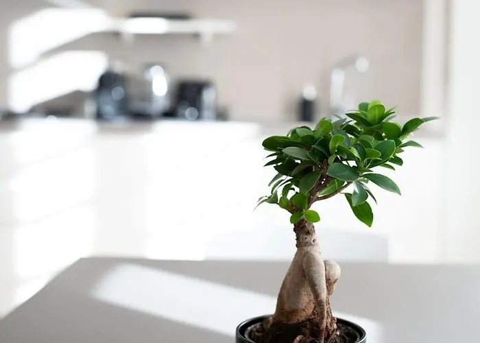 Apartment Apt. Linate - Duomo A 10 Minuti Milan